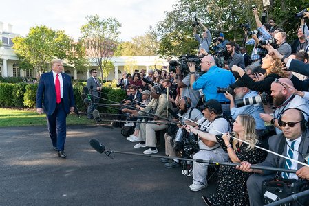1010trumpgaggle.jpg