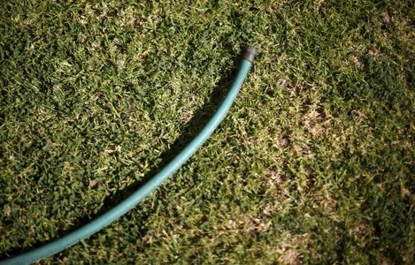 20150507_California_drought_NewsHour.jpg