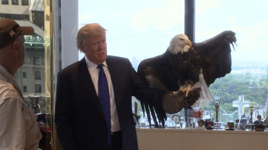 20151211_TIME_Donald_Trump_eagle.jpg