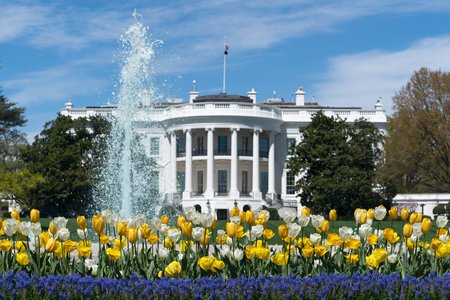 49742482671_65f21e9c64_o23149_0.jpg
