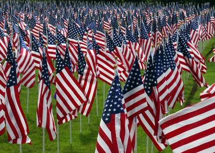 American_flags.jpg