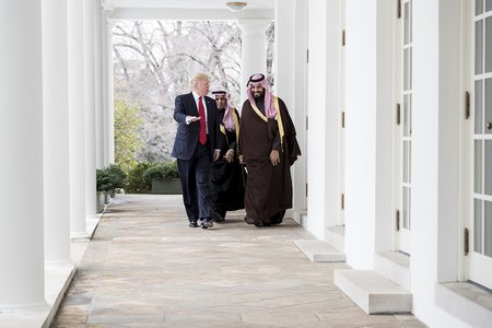 President Donald Trump meets with the Deputy Crown Prince of Saudi Arabia