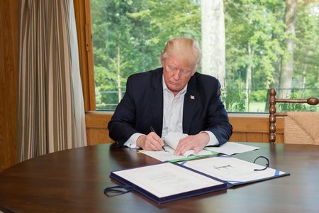 Trump_signs.jpg